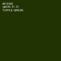 #213302 - Turtle Green Color Image