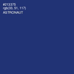 #213375 - Astronaut Color Image