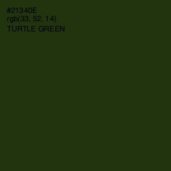 #21340E - Turtle Green Color Image