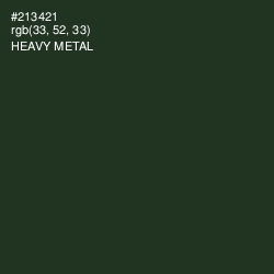 #213421 - Heavy Metal Color Image