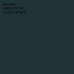 #213434 - Outer Space Color Image