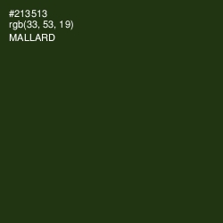 #213513 - Mallard Color Image