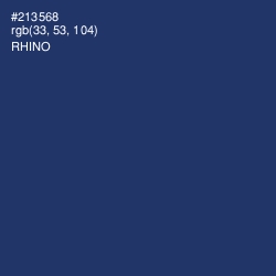 #213568 - Rhino Color Image