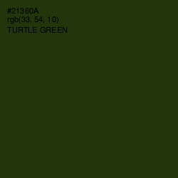 #21360A - Turtle Green Color Image