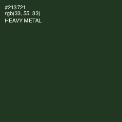 #213721 - Heavy Metal Color Image