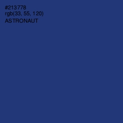 #213778 - Astronaut Color Image