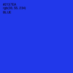 #2137EA - Blue Color Image