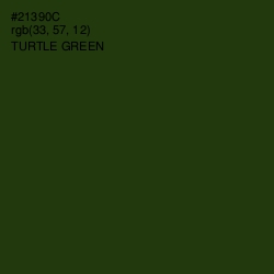 #21390C - Turtle Green Color Image