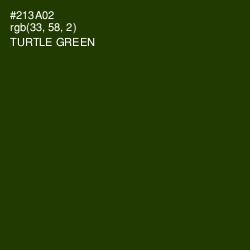 #213A02 - Turtle Green Color Image