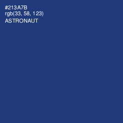 #213A7B - Astronaut Color Image