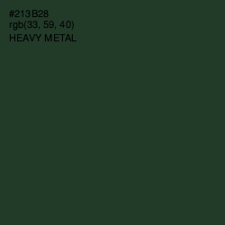 #213B28 - Heavy Metal Color Image