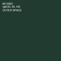 #213B31 - Outer Space Color Image