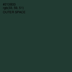 #213B33 - Outer Space Color Image