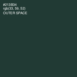 #213B34 - Outer Space Color Image