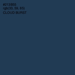 #213B55 - Cloud Burst Color Image