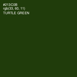 #213C0B - Turtle Green Color Image