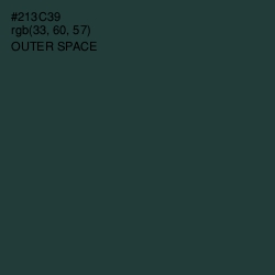 #213C39 - Outer Space Color Image