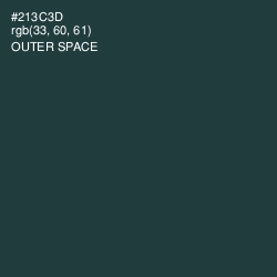 #213C3D - Outer Space Color Image