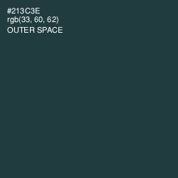 #213C3E - Outer Space Color Image