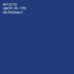 #213C7D - Astronaut Color Image