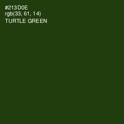 #213D0E - Turtle Green Color Image