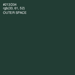 #213D34 - Outer Space Color Image