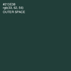 #213E38 - Outer Space Color Image