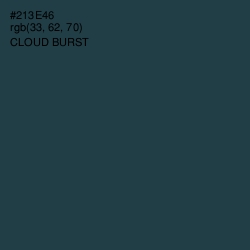 #213E46 - Cloud Burst Color Image