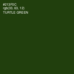 #213F0C - Turtle Green Color Image