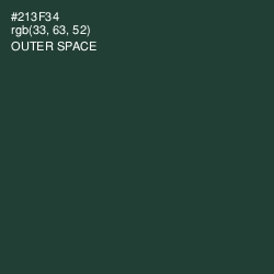 #213F34 - Outer Space Color Image