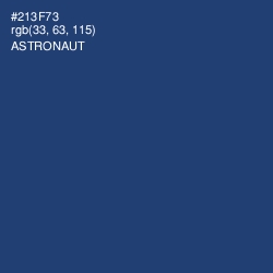 #213F73 - Astronaut Color Image