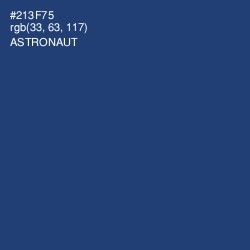 #213F75 - Astronaut Color Image