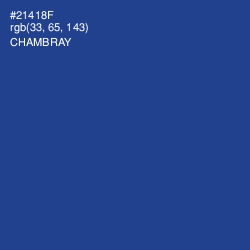 #21418F - Chambray Color Image