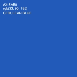 #215AB9 - Cerulean Blue Color Image