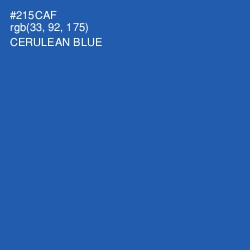 #215CAF - Cerulean Blue Color Image