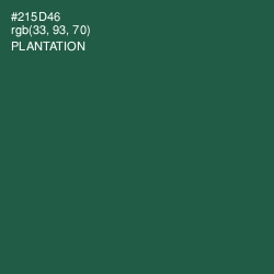#215D46 - Plantation Color Image