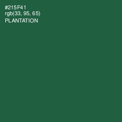 #215F41 - Plantation Color Image