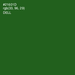 #21601D - Dell Color Image