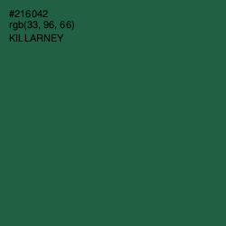 #216042 - Killarney Color Image