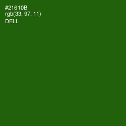 #21610B - Dell Color Image