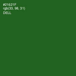 #21621F - Dell Color Image