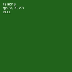 #21631B - Dell Color Image
