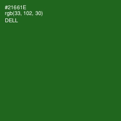 #21661E - Dell Color Image