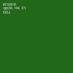 #21681B - Dell Color Image