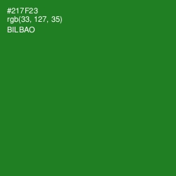 #217F23 - Bilbao Color Image