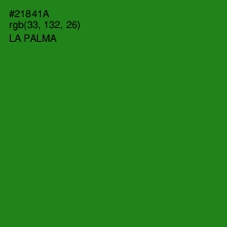 #21841A - La Palma Color Image