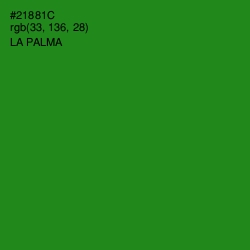 #21881C - La Palma Color Image