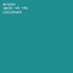 #218E91 - Lochinvar Color Image