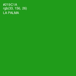 #219C1A - La Palma Color Image