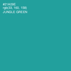 #21A09E - Jungle Green Color Image